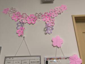 IMG_20250418_125722.jpg